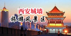 空姐被扒下内裤被男人捅出白浆视频中国陕西-西安城墙旅游风景区